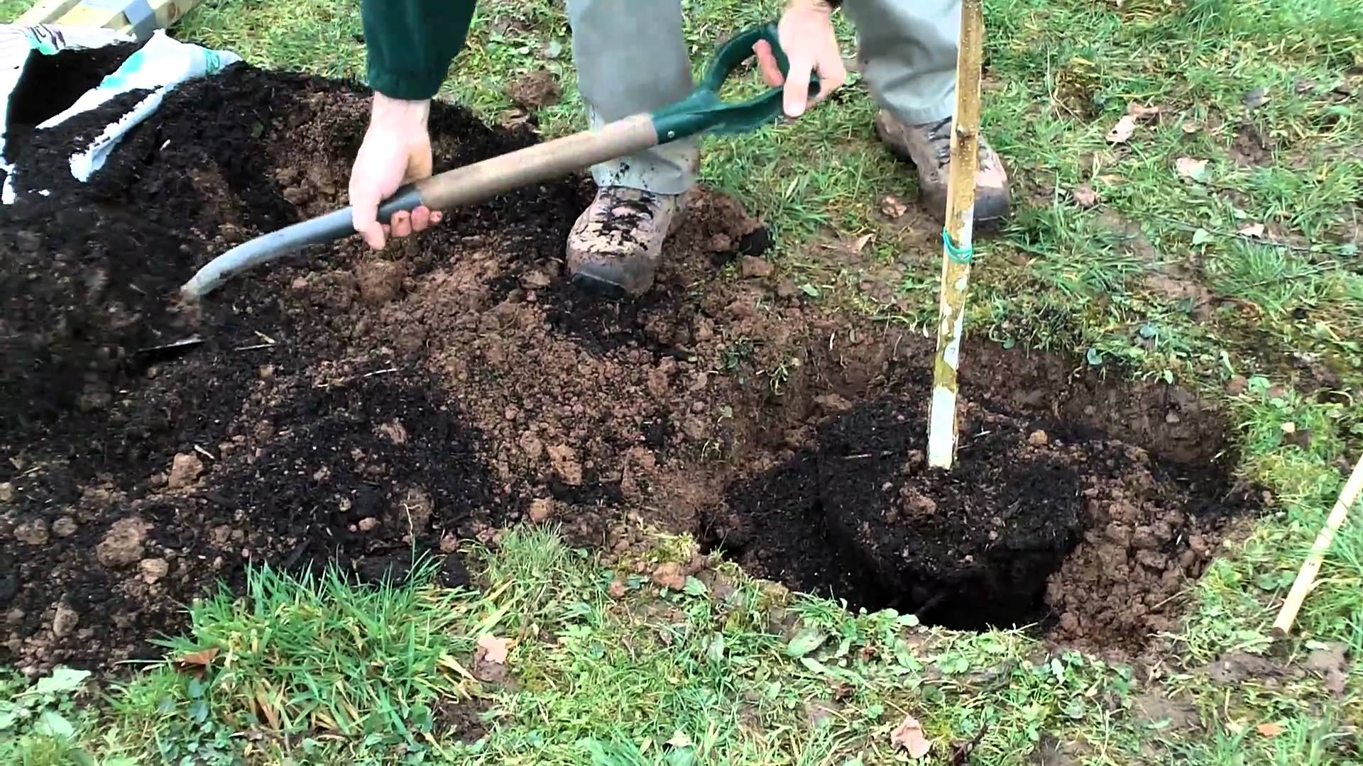 comment faire un trou de plantation arbre fruitier