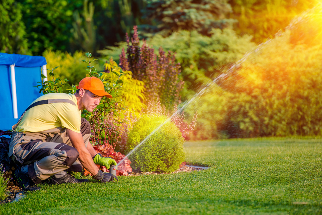 Canicule et jardinage : comment se protéger des fortes chaleurs ?