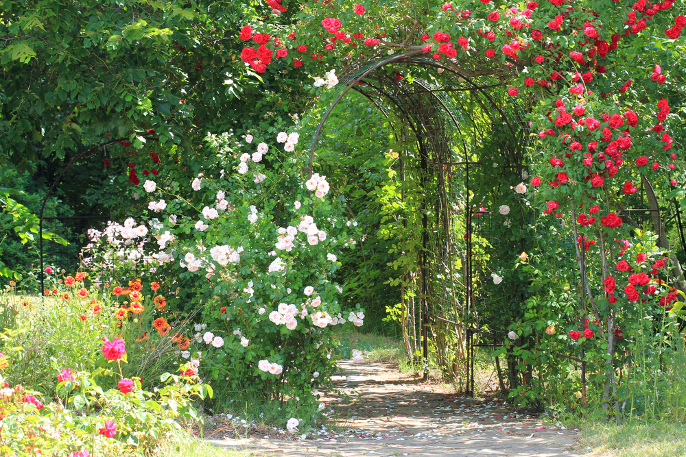 Arche Jardin Housse de Couette Plantes Fleurs Arches 