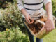 6 astuces pour utiliser le marc de café au jardin ou au potager