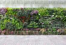 Les 7 avantages du mur végétal en extérieur