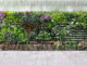 Les 7 avantages du mur végétal en extérieur