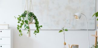 plantes pour décorer un bureau