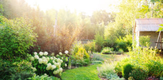Jardin à l’anglaise aménagements, plantes et fleurs… 