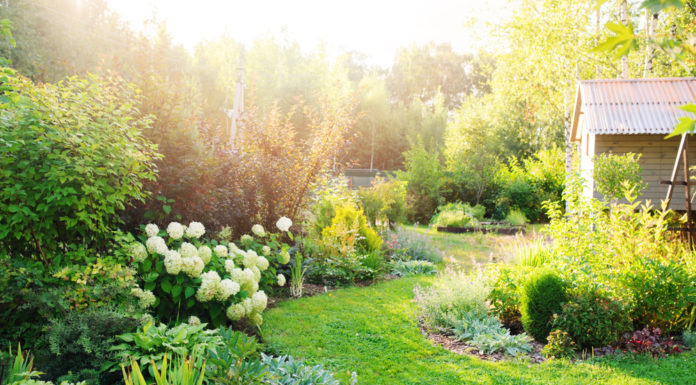 Jardin à l’anglaise aménagements, plantes et fleurs… 