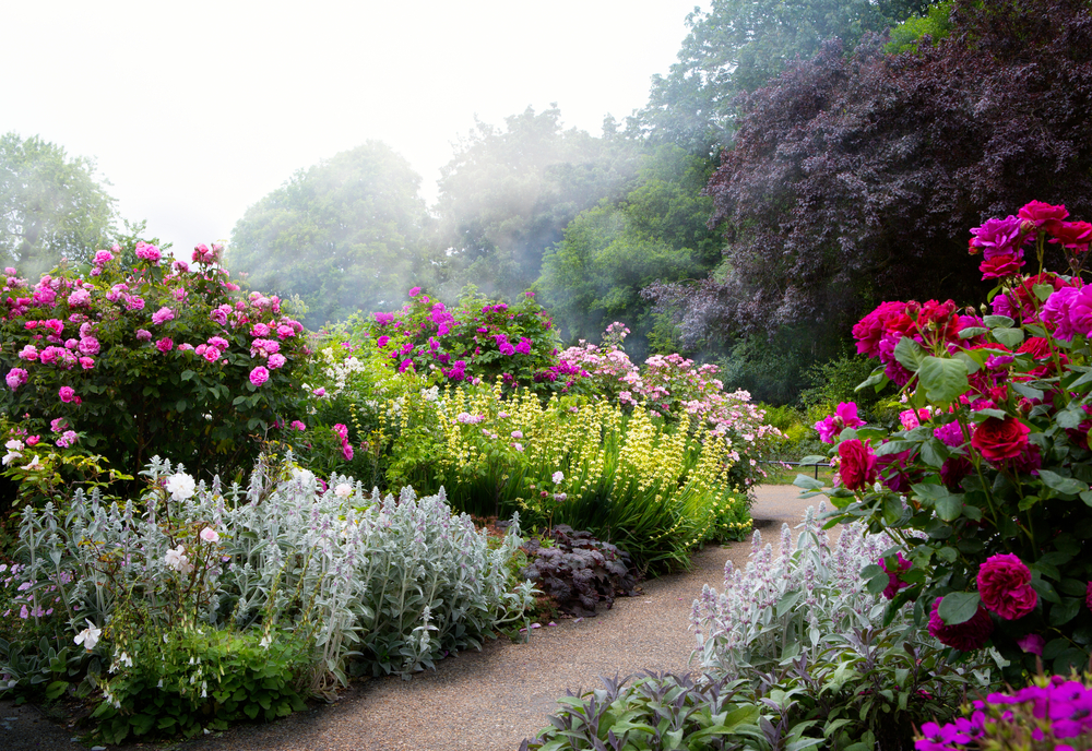 fleurs et plantes jardin à l'anglaise