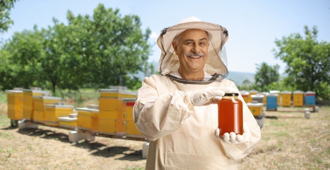 Le matériel apicole essentiel pour débuter en apiculture - Paroles