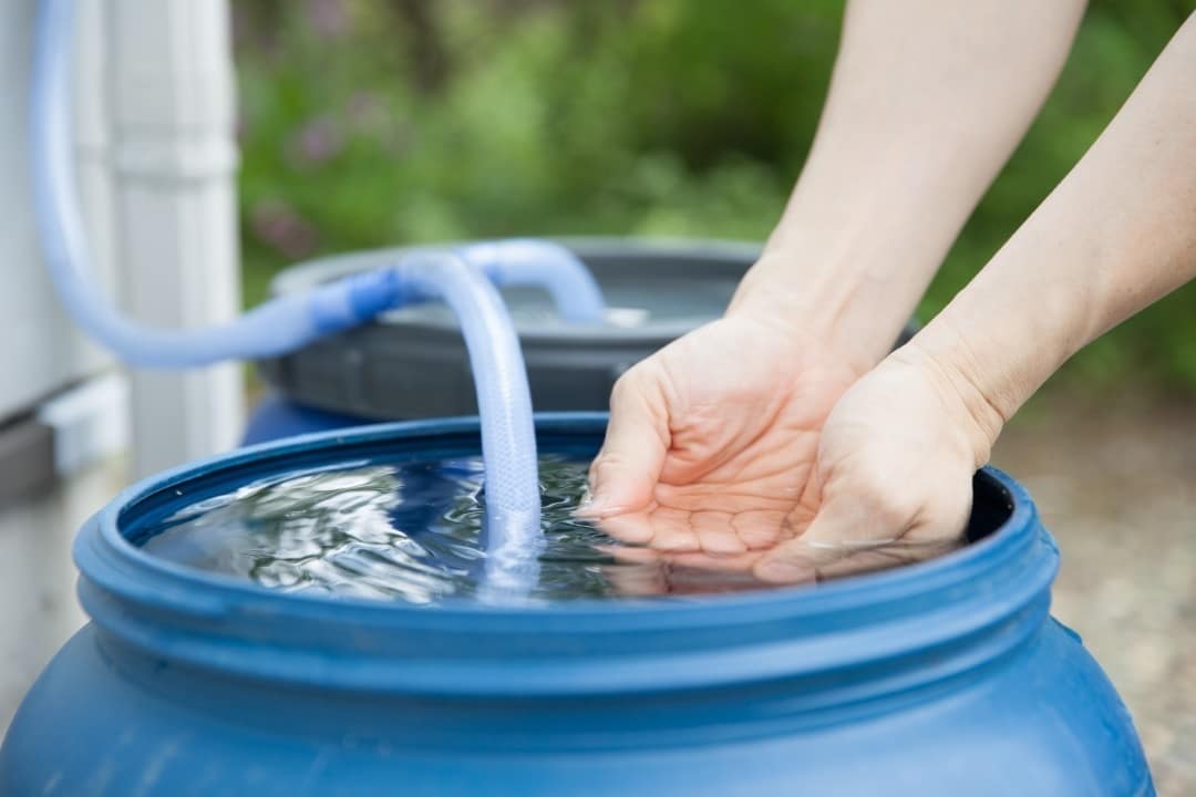 économiser l'eau au jardin récupérateur eau de pluie
