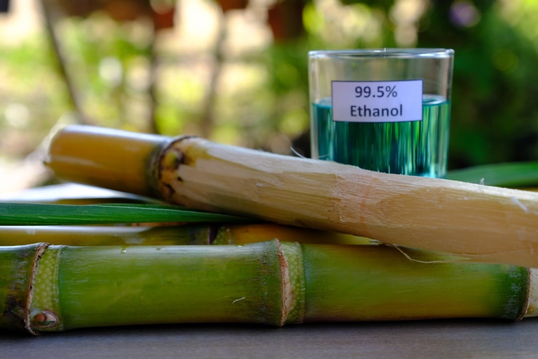 cheminée bio ethanol vegetaux canne à sucre